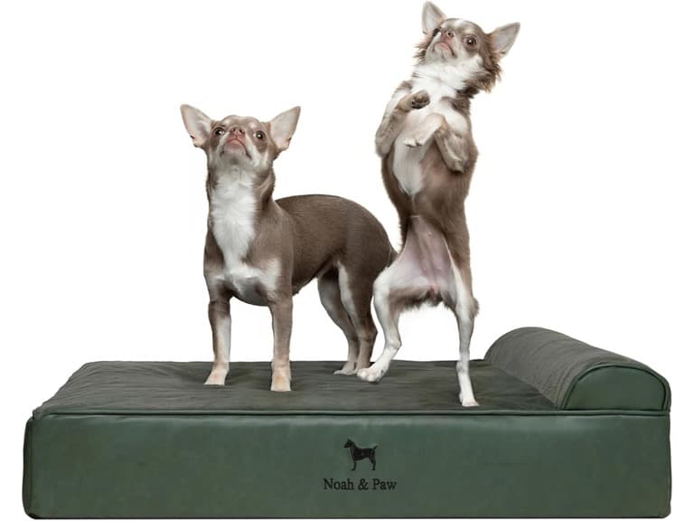 NOAH & PAW Orthopedic Dog Beds- Medium - Image 1