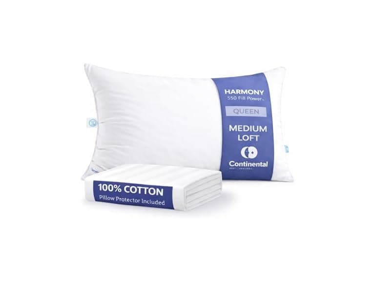White Down Pillow and Cotton Protector - Image 1