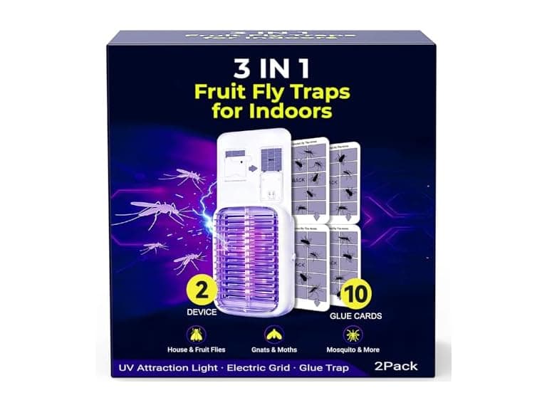 Upgraded Fruit Fly Traps for Indoors - Image 1