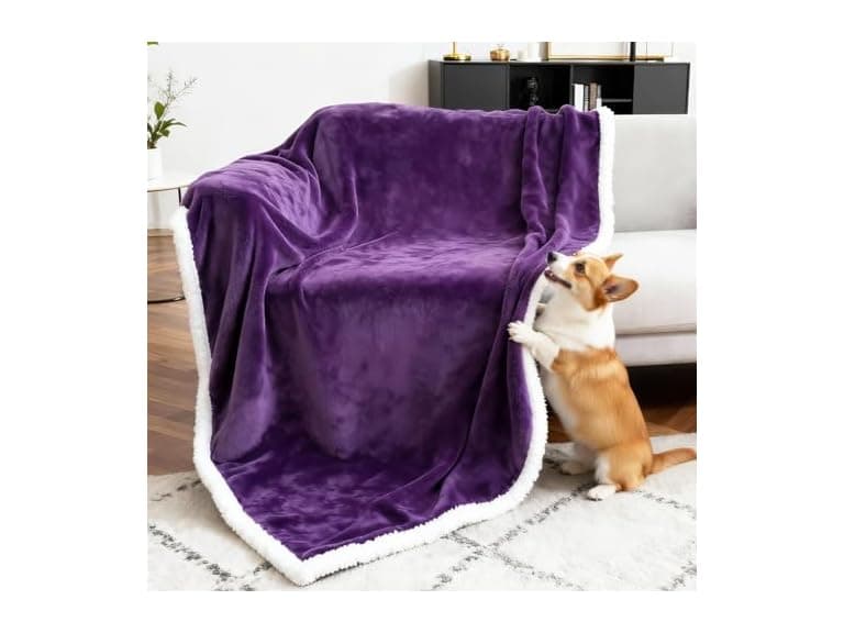 BoxZone Waterproof Dog Blanket XL Purple - Image 1