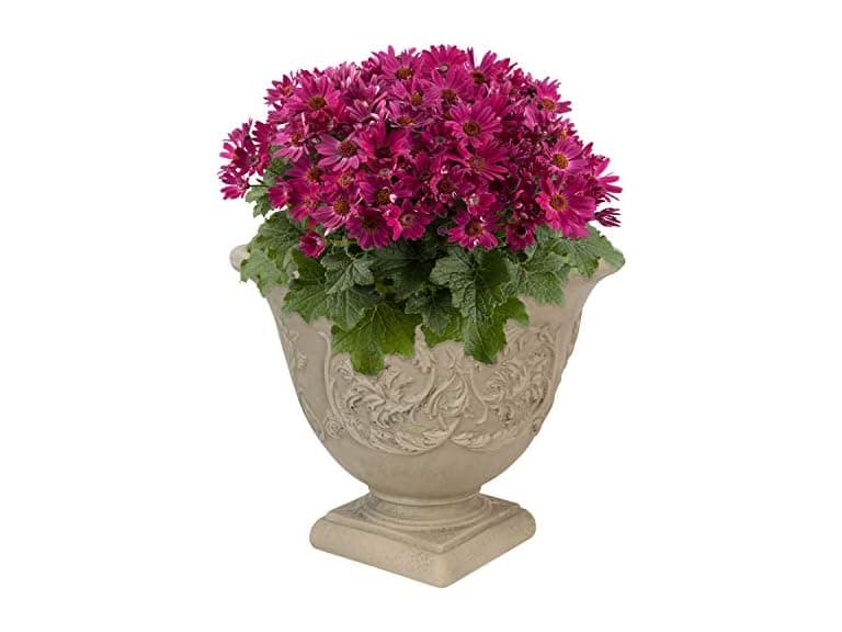 Sunnydaze 16-Inch Darcy Round Plant Pot - Image 1