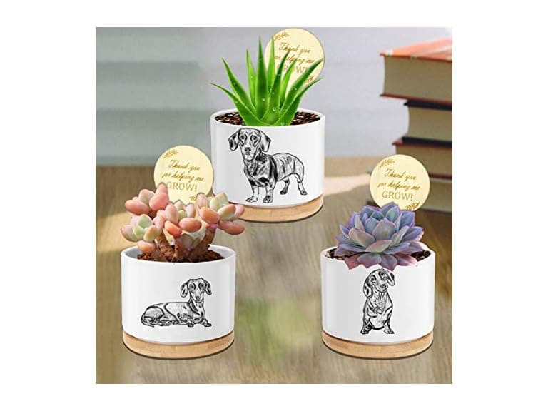 UDOME Dog Mom Gifts for Women, Dachshund Dog  - Image 1