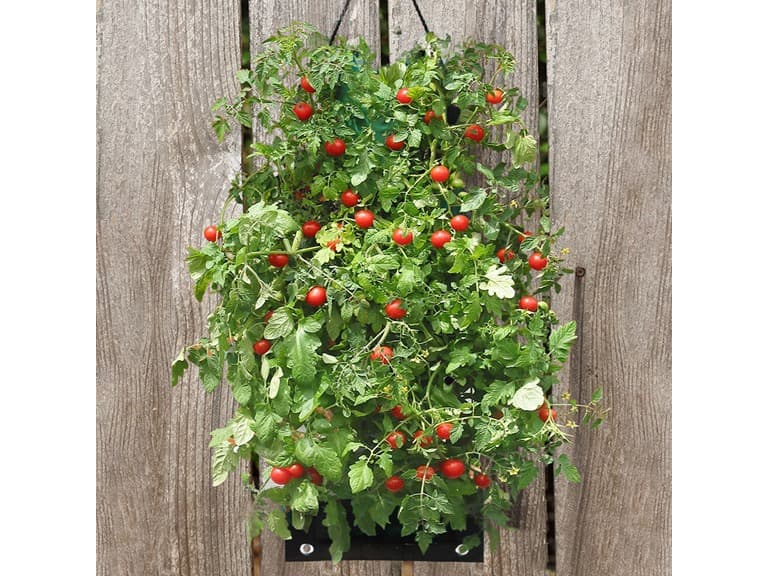 Organic Hanging Planter Bag Kit - Image 1