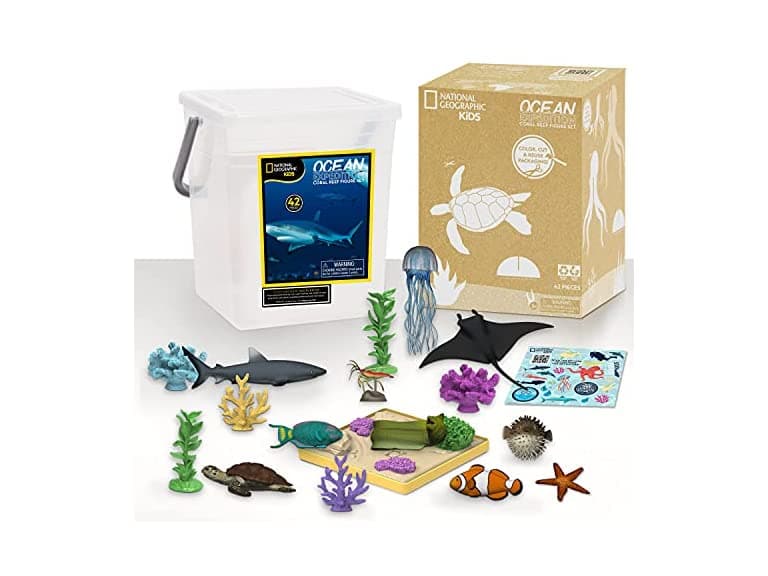 National Geographic Kids Tub w/ QR Code - Image 1