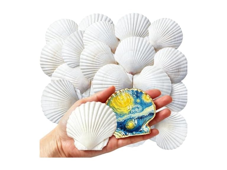 SINKOO 16PCS Natural Scallop Shells 3"-3.5" - Image 1