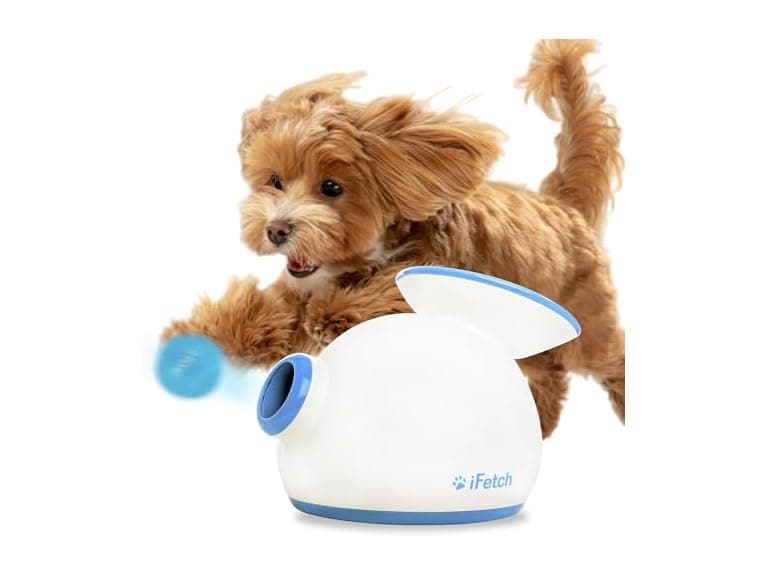 iFetch Automatic Ball Launcher for Small Dogs - Image 1