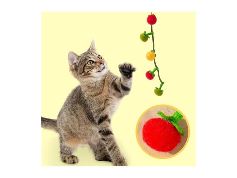 Layheld Cat Teaser Fruit-Shaped Squeaky String w Catnip - Image 1