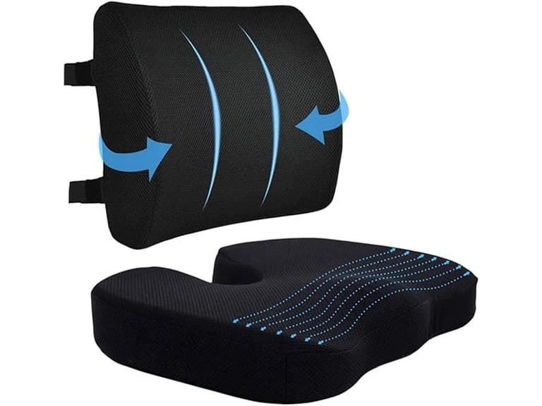 Memory Foam Lumbar Support Pillow - Image 1