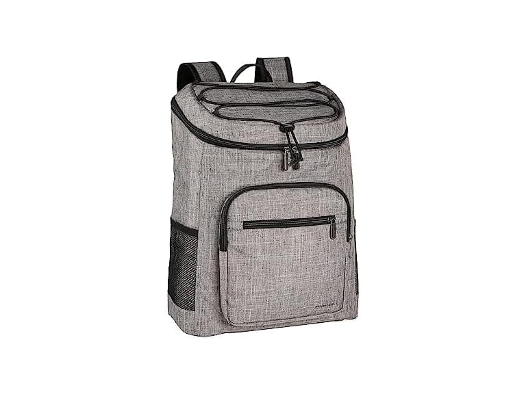 Amazon Basics Insulated Cooler Backpack - Image 1