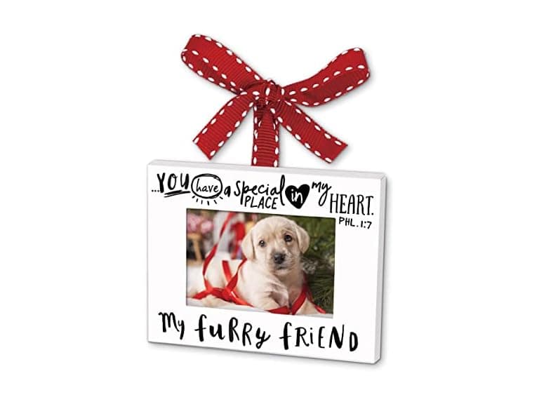 Lighthouse Christian Products My Furry Friend Ornament - Image 1