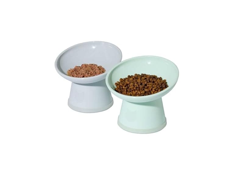 Necoichi 2pcs Tilted Elevated Cat Food Bowls - Image 1