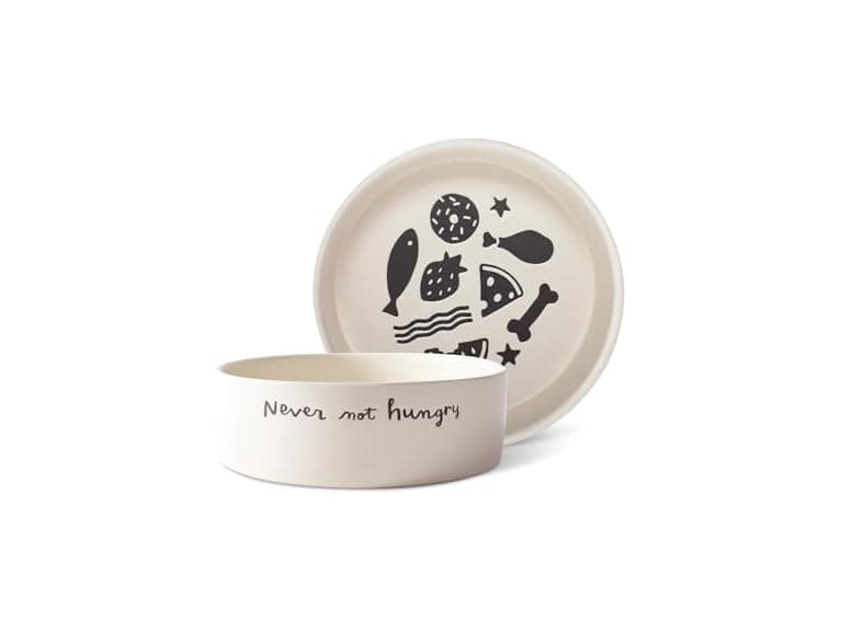 Fringe Studio Never NOT Hungry Wax Resist Ceramic Pet Bowl - Image 1