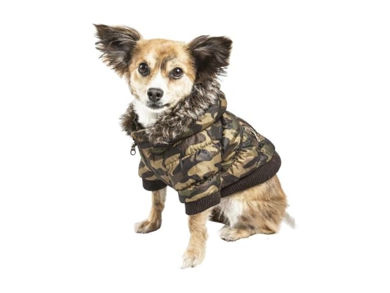 Pet Life Classic Metallic Fashion Parka - Image 1