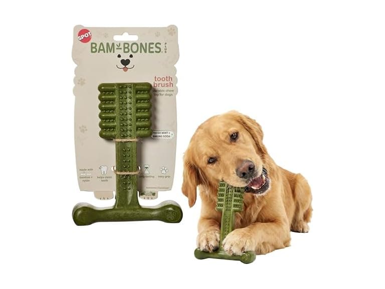 SPOT Bam-Bones Plus Toothbrush Dog Chew Toy - Image 1