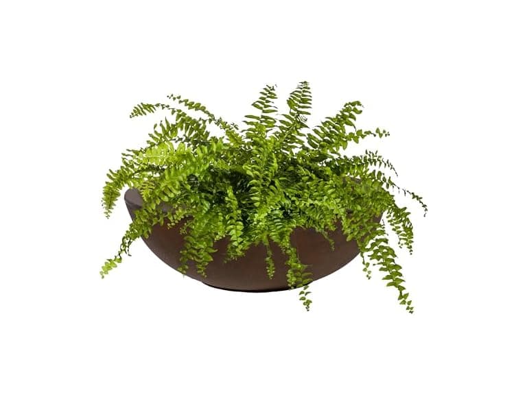 Sunnydaze Percival 20.75" Shallow Outdoor Planter Bowl - Image 1