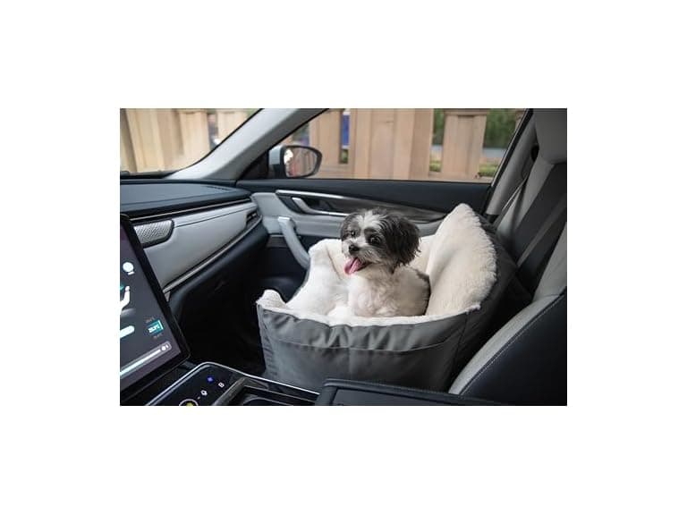Best Pet Supplies Elevated Dog Car Seat for Small Dogs - Image 1