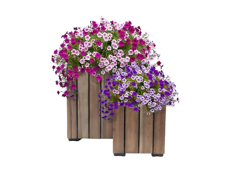 Sunnydaze Indoor/Outdoor Wooden Planter Boxes, 2PK - Image 1