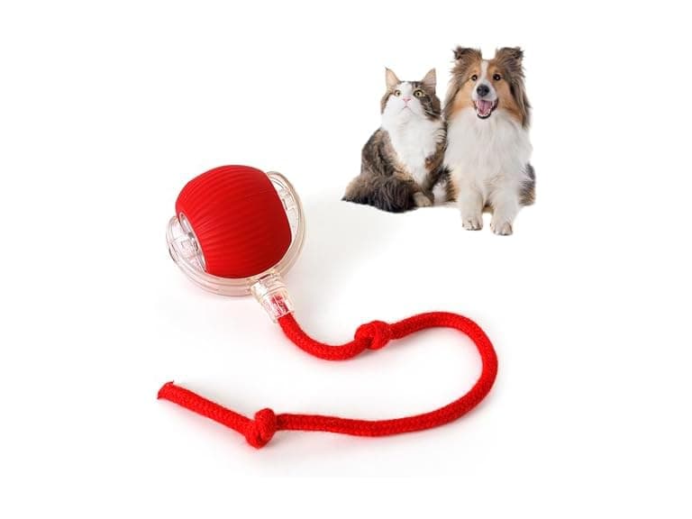 (2 Pack) Interactive Rolling Cat Ball - Image 1