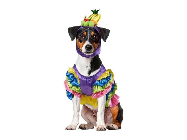 Rubies Brazilian Bombshell Pet Costume Medium - Image 1