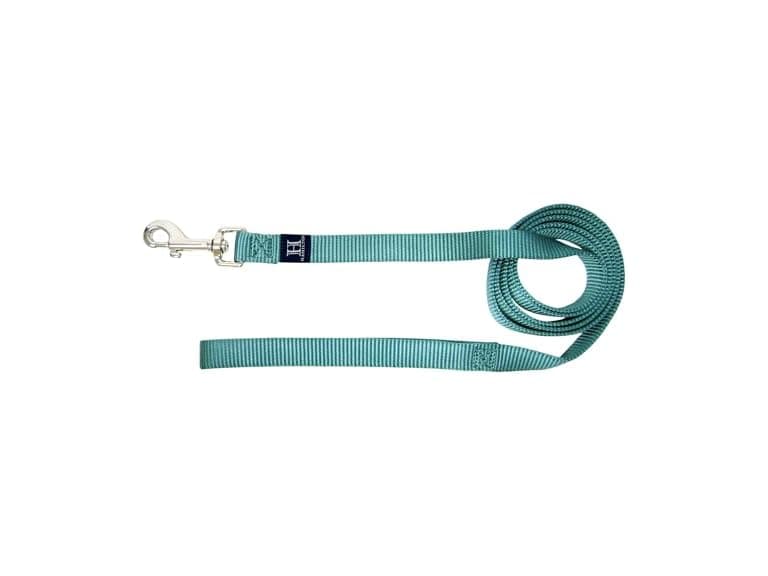 Hamilton Hamilton Single Thick Deluxe Nylon Dog L - Image 1
