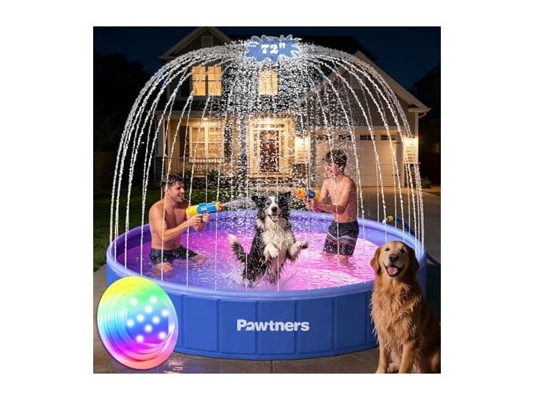 Pawtners Foldable Dog Pool - Image 1