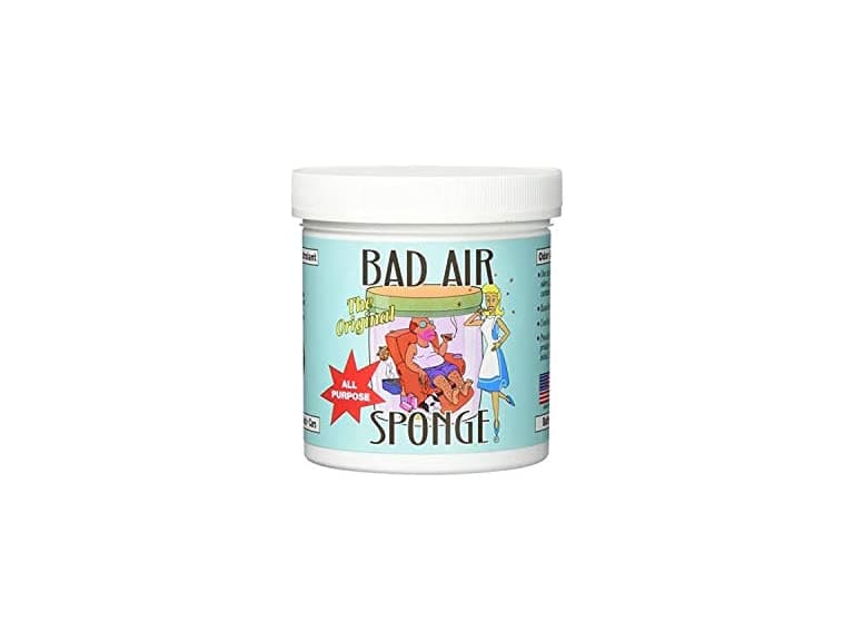 Bad Air Sponge Odor Absorber 14.5oz - Image 1