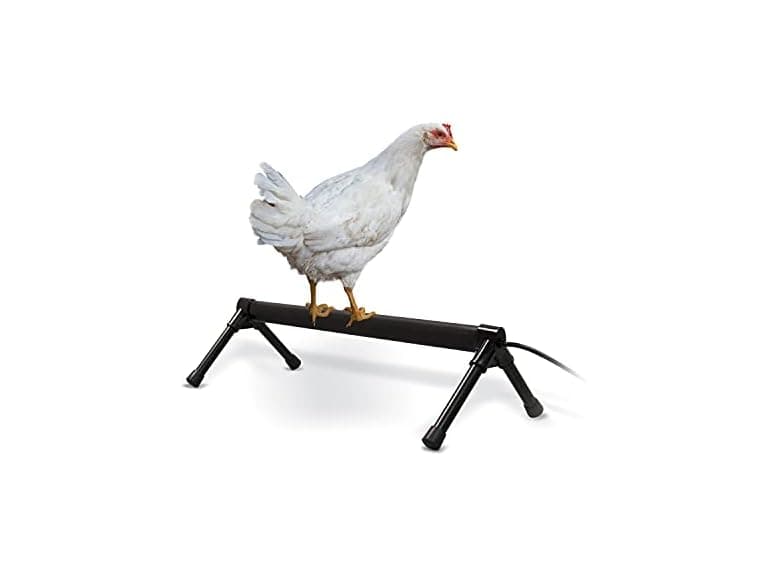K&H Thermo Heated Chicken Perch - Image 1
