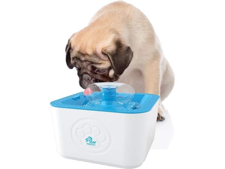 PAW PERFECT Auto Pet Water Fountain (Open Box) - Image 1