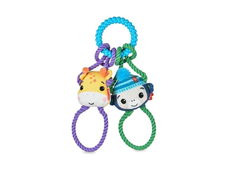 Fisher-Price for Pets Interactive Toy - Image 1