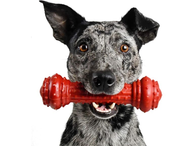 Pet Qwerks BarkBone - Image 1