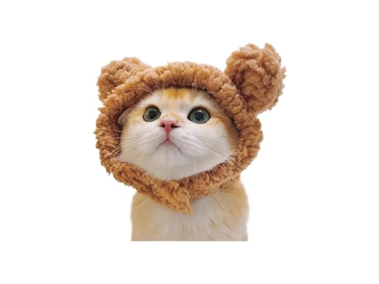 LOKLNEYK Fun cat hat - Image 1