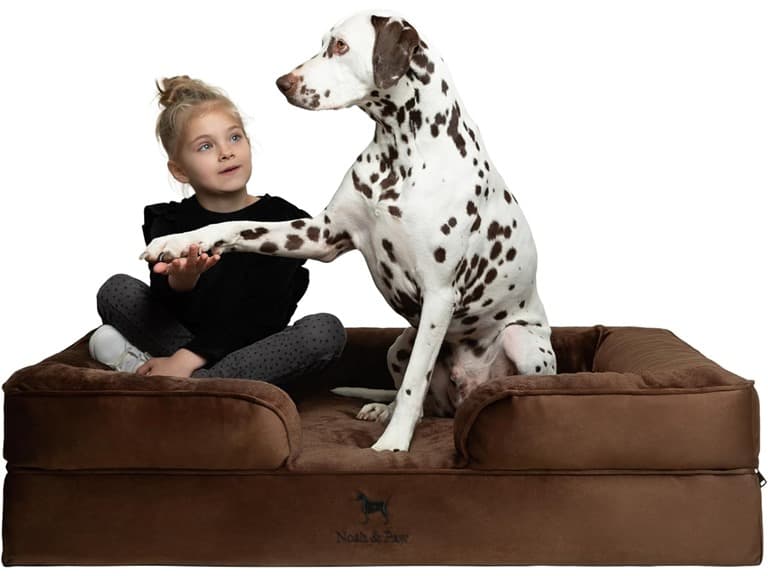 NOAH & PAW Dog/Cat Sofa- XXLarge - Image 1