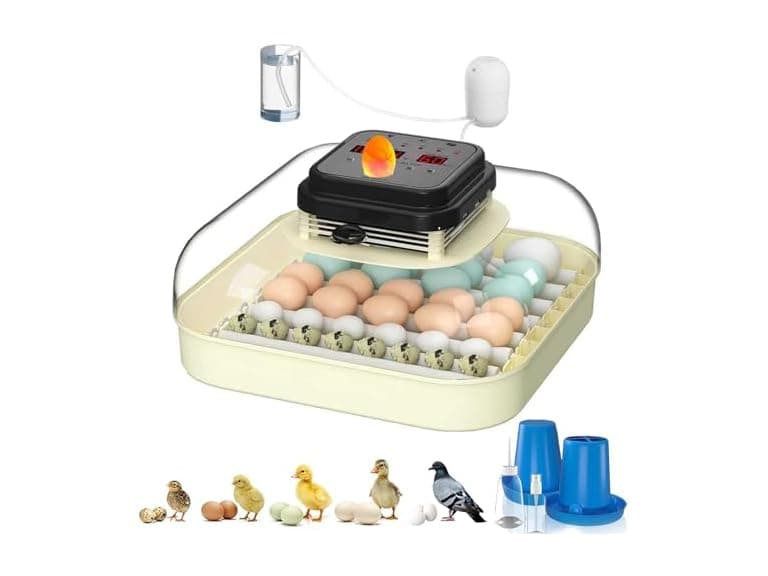 CoInceptus 35 Eggs Incubators - Image 1