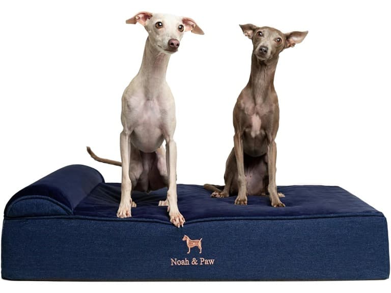 NOAH & PAW Orthopedic Dog Beds- Large - Image 1