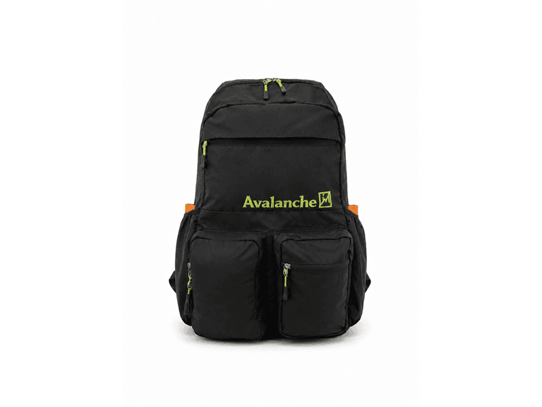 Avalanche Davis Backpack - Image 1