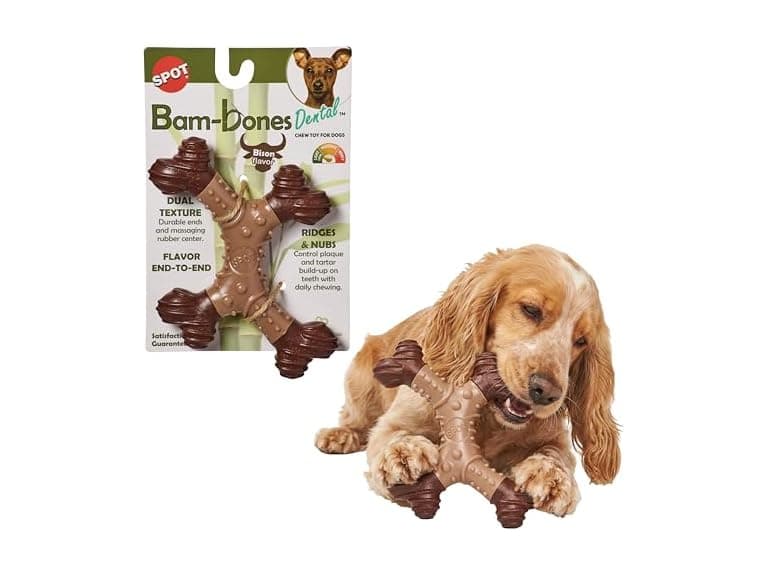 SPOT Bam-Bones Dental X-Bone Dog Chew Toy, Bison - Image 1