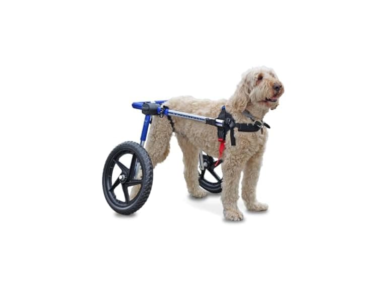 Walkin' Wheels Dog Wheelchair - for Med/Large - Image 1