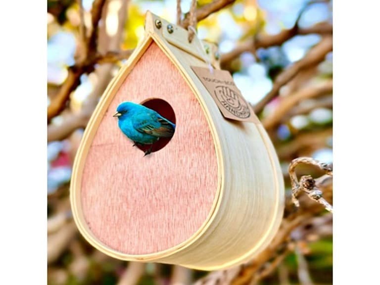 Pollinating Palace - Bird House - Image 1