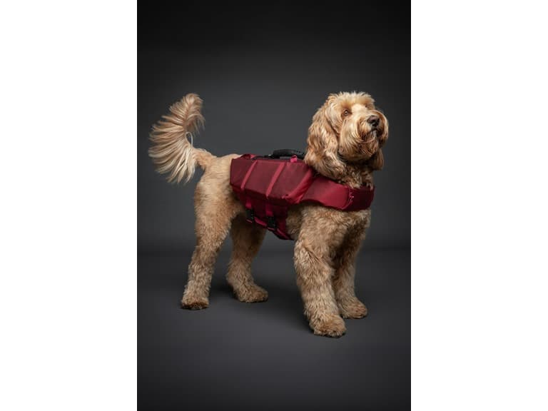 NOAH & PAW Dog Life Jacket- Medium - Image 1