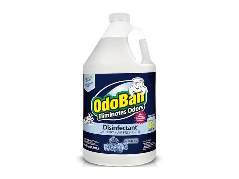 OdoBan Disinfectant Concentrate Night Ice 1gal - Image 1