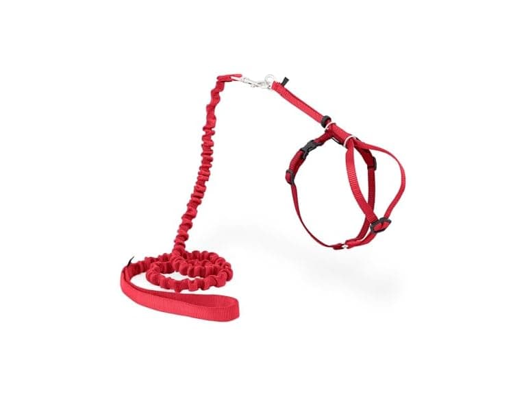 PetSafe Come With Me Kitty Harness and Bungee Leash - Image 1
