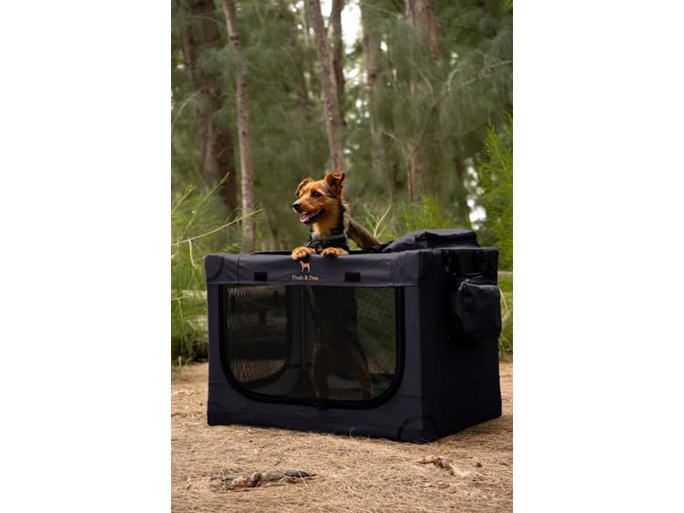 NOAH & PAW Collapsible Dog Crate- Large - Image 1