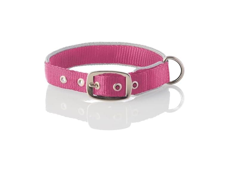 Pet Passion Adjustable Silver Trimmed Dog Collar - Image 1