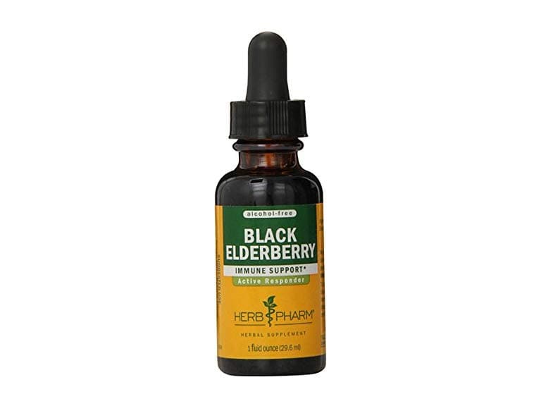 Black Elderberry Glycerite Organic - Image 1