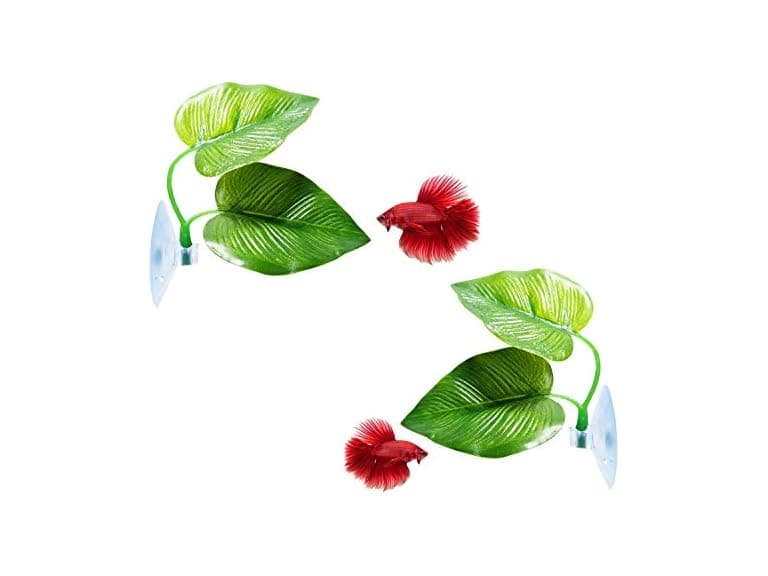 4-Pack Betta Fish Leaf Resting Pads - Image 1