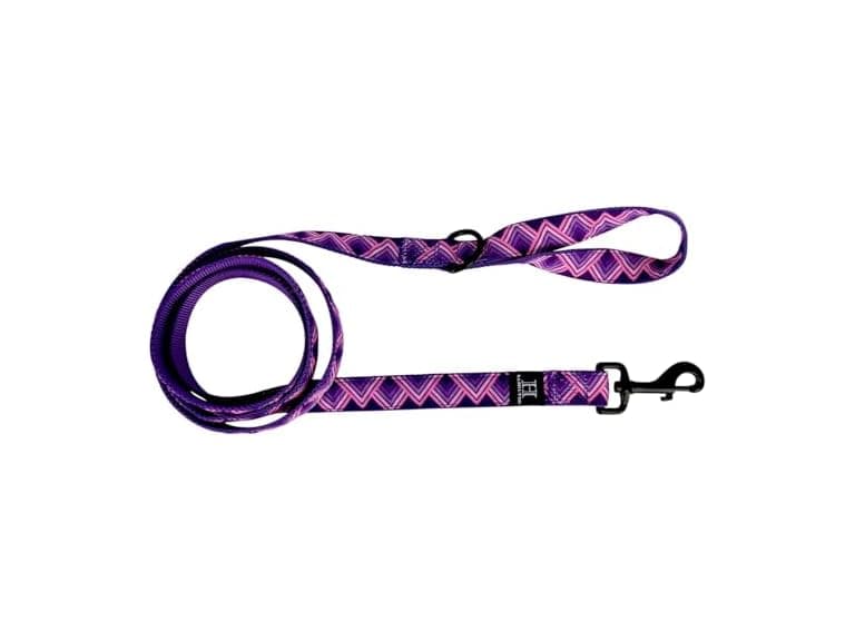 Hamilton 6 Foot Nylon Dog Leash, 1 Inch Wide - Image 1