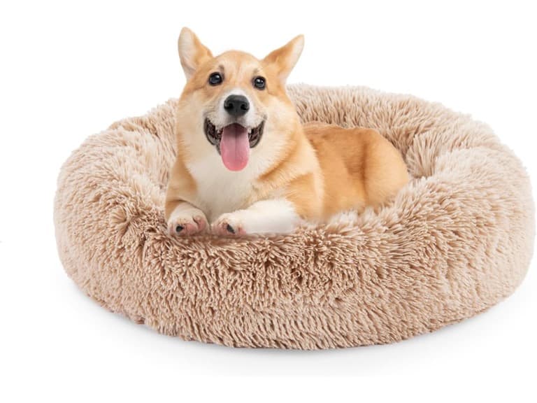 FluffyDream Donut Bed for Dogs - Image 1