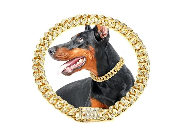 LEIFIDE (2 Pack) Dog Chain Collar Gold - Image 1