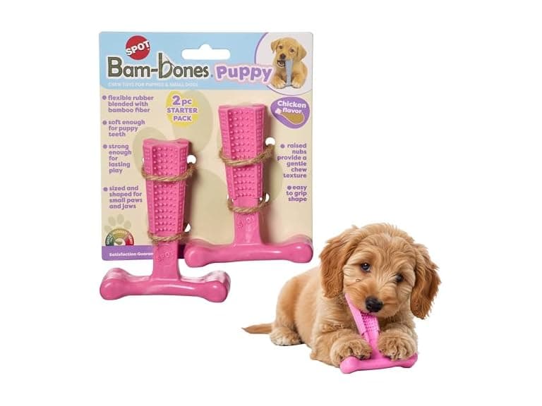 SPOT Bam-Bones Puppy T-Bone Dog Chew Toys, 2PK - Image 1