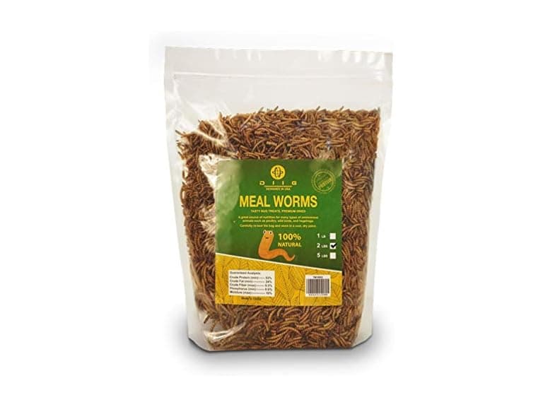 DIIG Non-GMO Dried Mealworms - Treats for Birds - Image 1